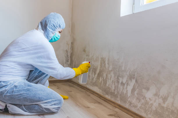 Licensed Mold Inspection service in Florence, OR - WQB Mold Removal