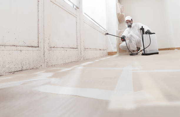 24/7 Emergency Mold Inspection experts in Florence, OR