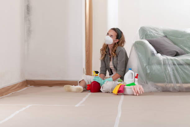 Reliable Mold Inspection contractor in Florence, OR by WQB Mold Removal